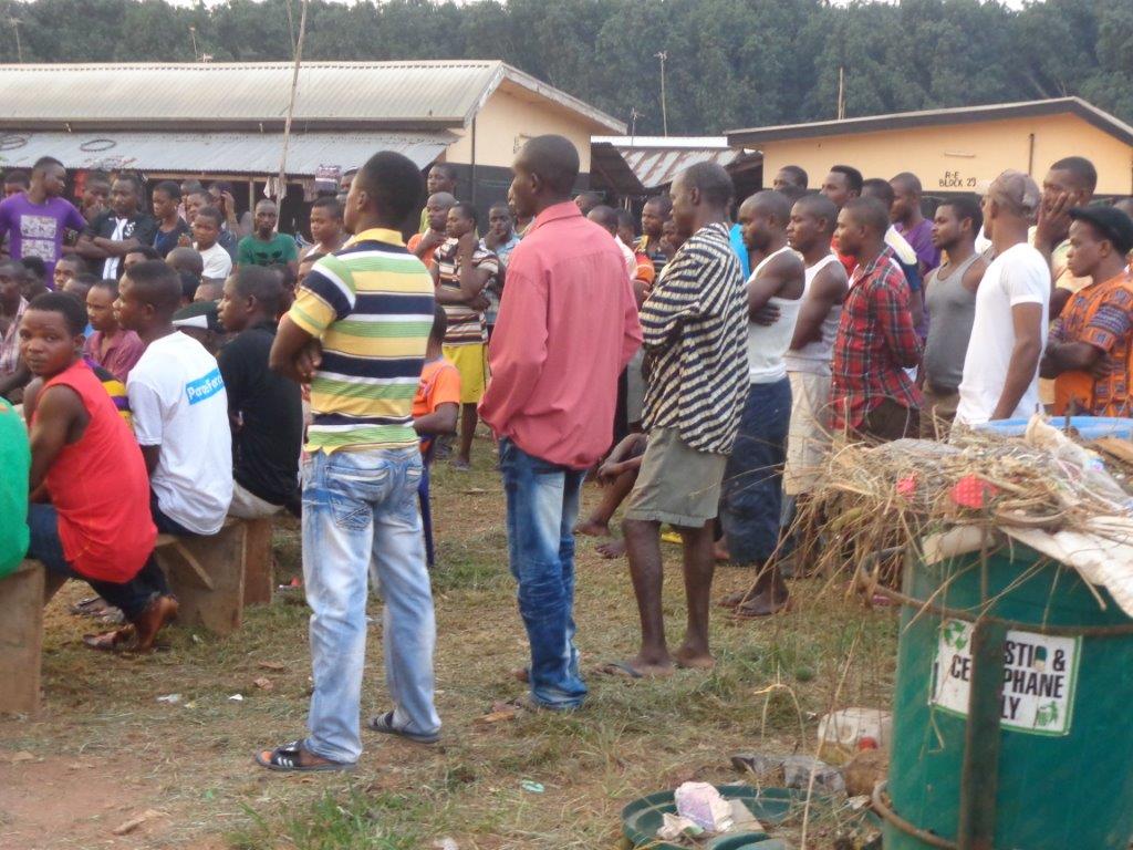 Sustainable Farming Workshop Success